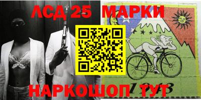 прущие грибы Пенза