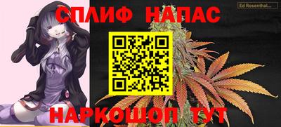 прущие грибы Пенза