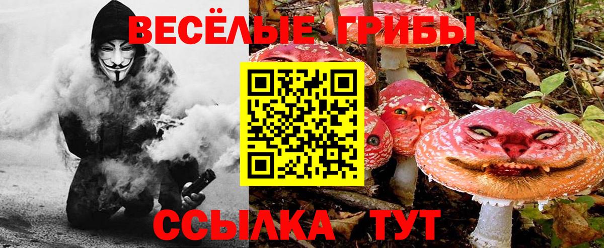 Галлюциногенные грибы Magic Shrooms  Вход с VPN  Реутов  Псилоцибиновые грибы Magic Shrooms 