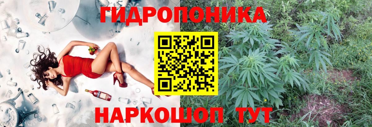 Бошки марихуана THC 21% Реутов